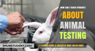 Ethical Education: Teaching Students About Animal Testing Responsibly