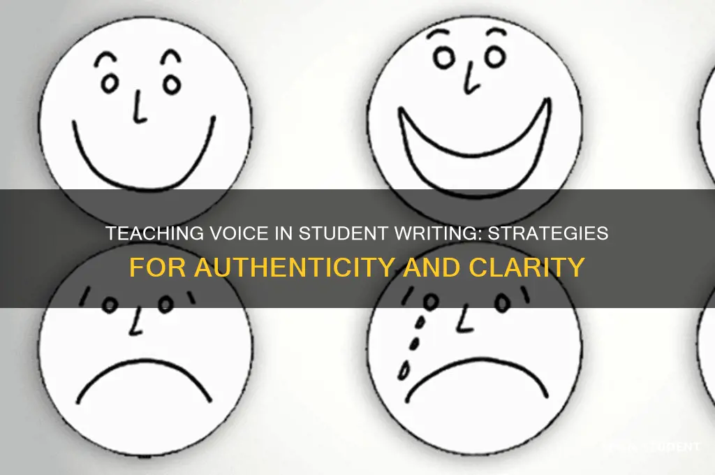 how can i teach voice in student writing