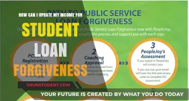 Updating Income for Student Loan Forgiveness: A Step-by-Step Guide