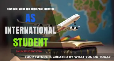 Navigating Aerospace Careers as an International Student