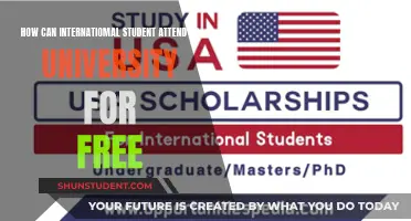 International Students: Free Ride to US Universities