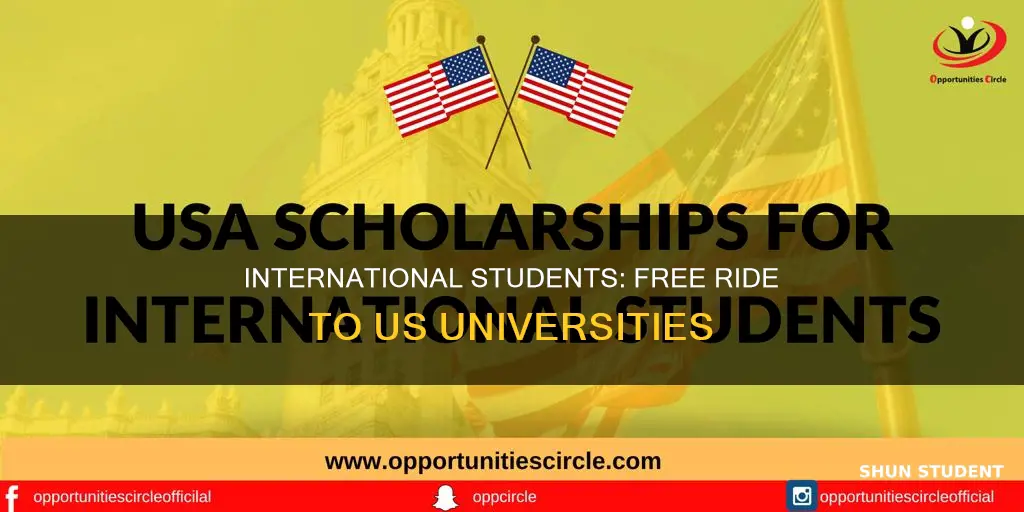 how can internatiomal student attend us university for free