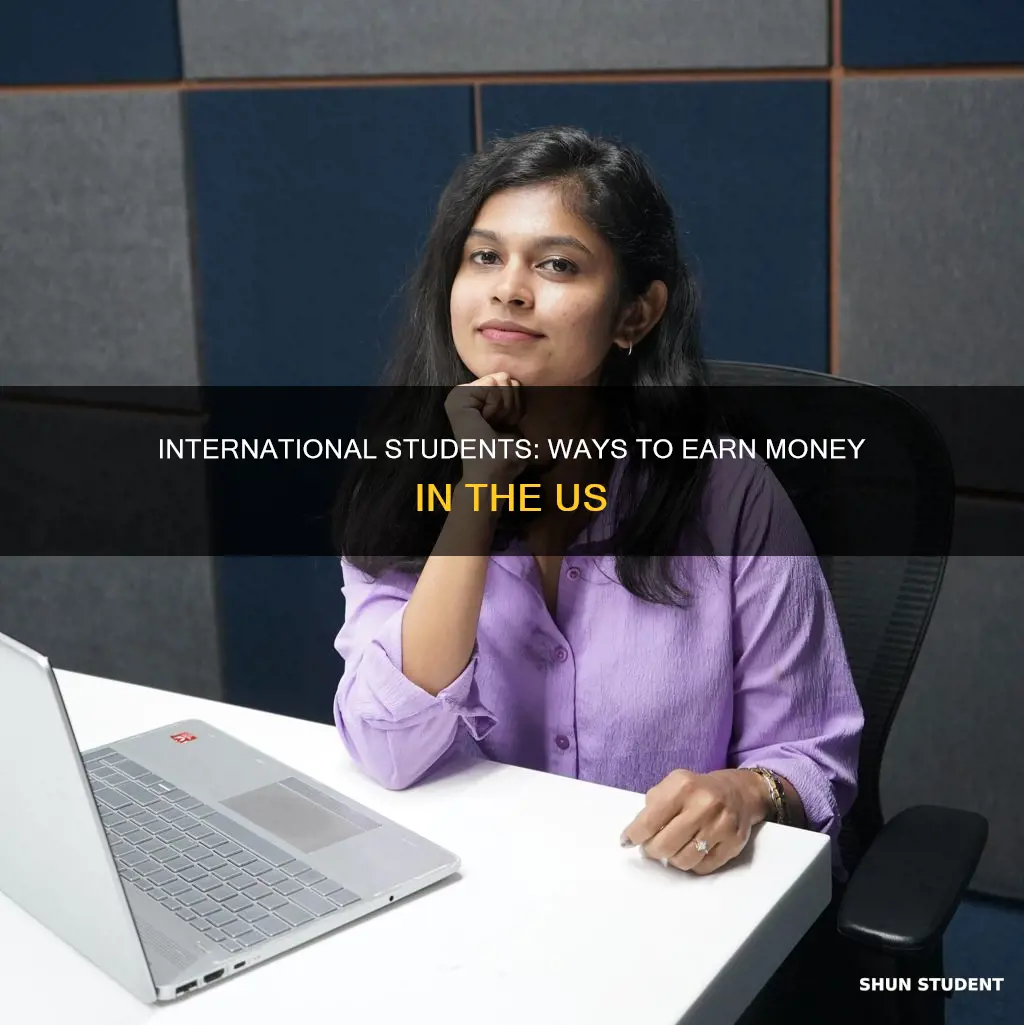 how can international student earn money in us