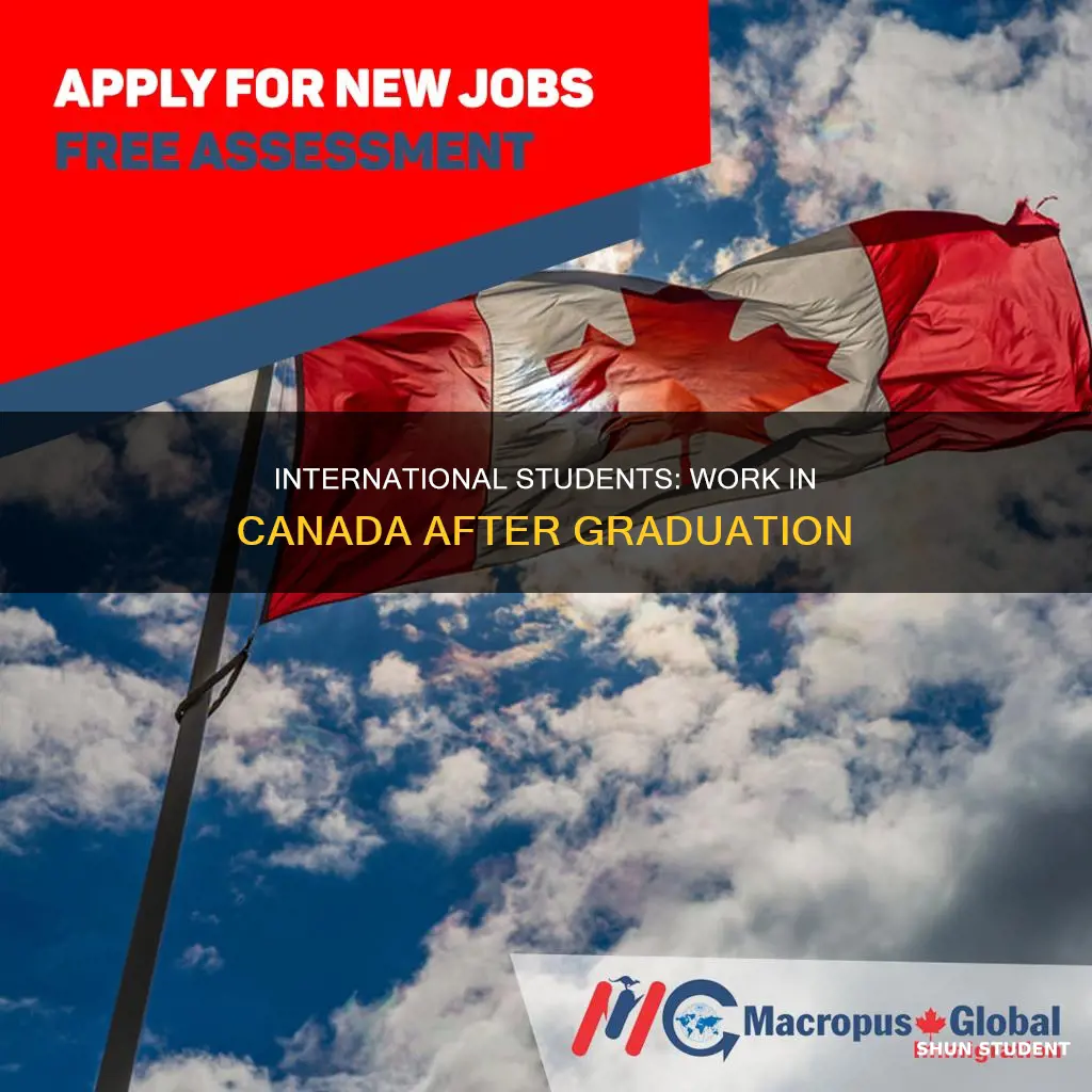 how can international student from us get canadian working visa