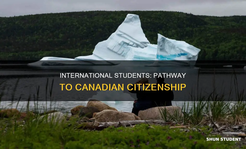how can international student get citizenship in canada