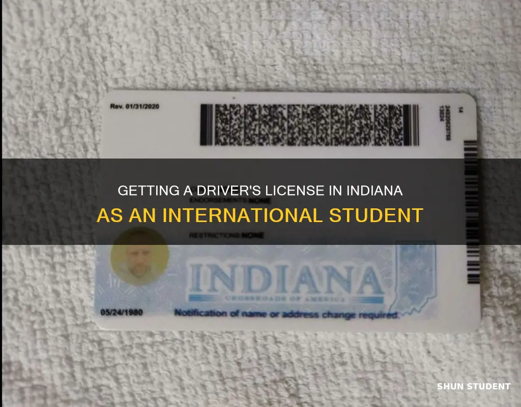 how can international student get driver license in indiana