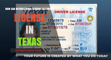 Getting a Driver's License in Texas as an International Student