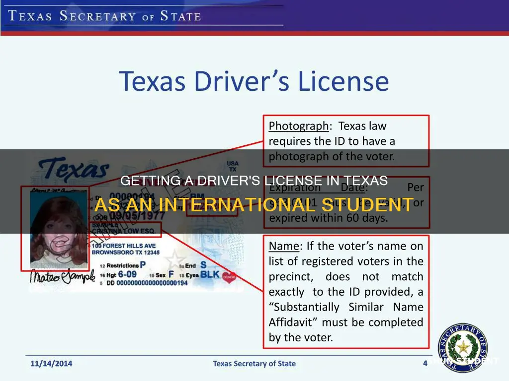 how can international student get driver license in texas