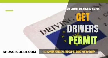 Getting a Driver's Permit as an International Student