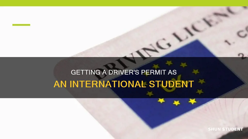 how can international student get drivers permit
