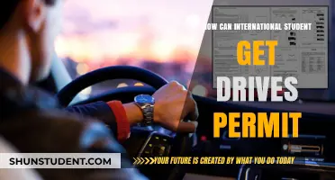 International Students: Getting a Driver's Permit Simplified