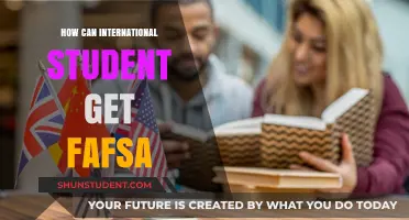 International Students: Get FAFSA, Fund Your Education