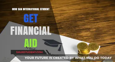 International Students: Getting Financial Aid