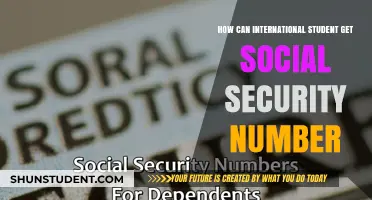 International Students: Getting Your Social Security Number