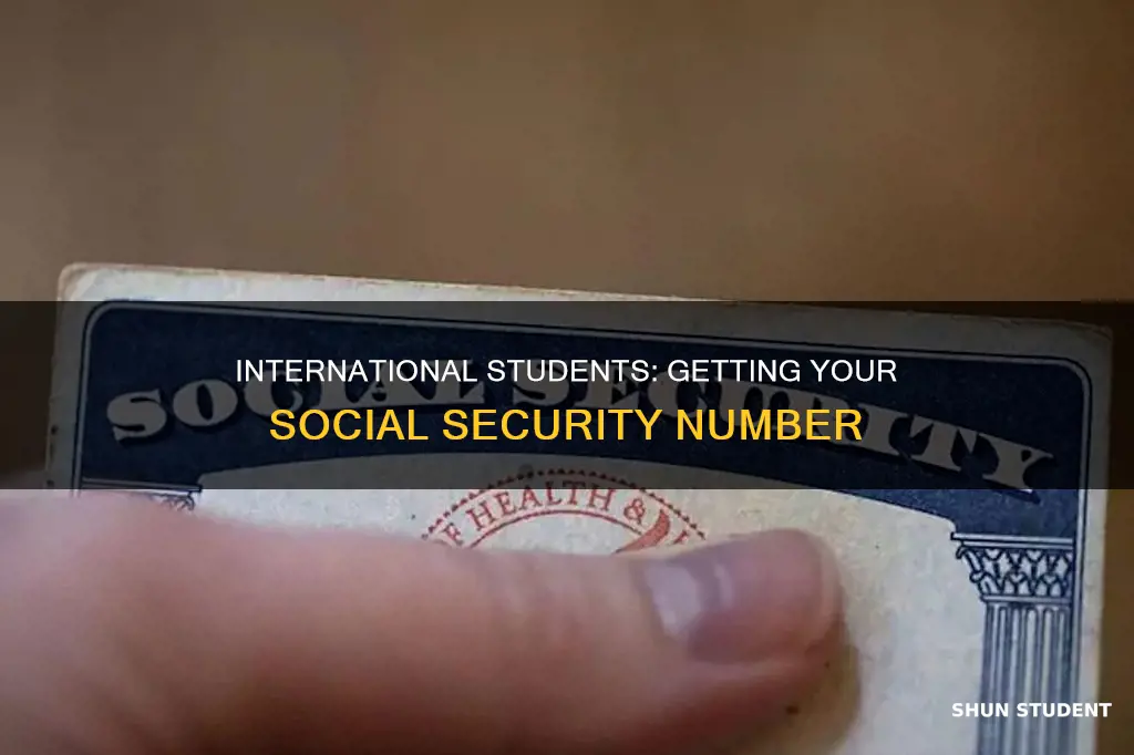 how can international student get social security number