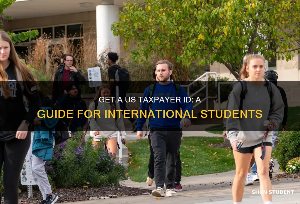 how can international student get tax payer id