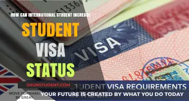 Strategies for International Students to Extend Their Visa Status