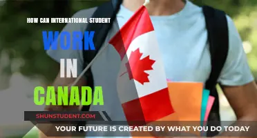Working in Canada: Options for International Students