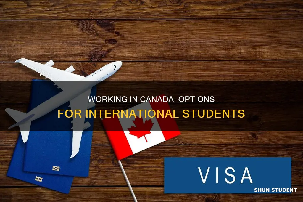 how can international student work in canada