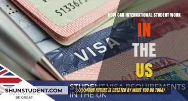 Working in the US: Options for International Students