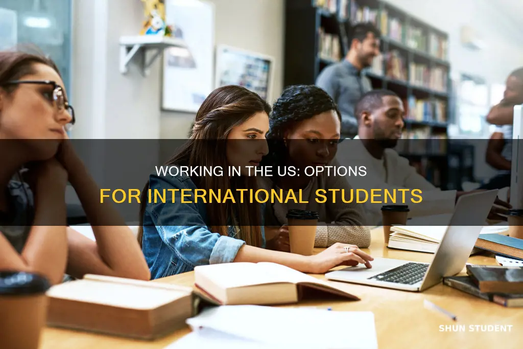 how can international student work in the us