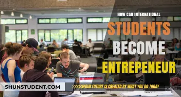Entrepreneurial Dreams: International Students' Guide to Success