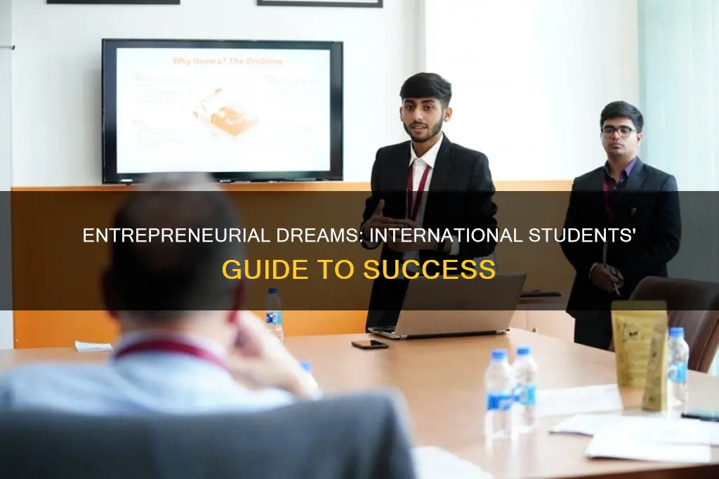 how can international students become entrepeneurs