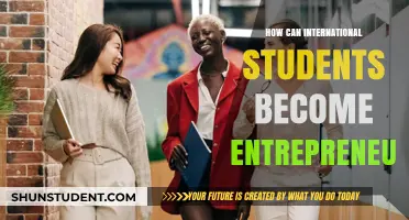 Entrepreneurial Success: International Students' Guide