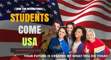 Unlocking USA: A Guide for International Students