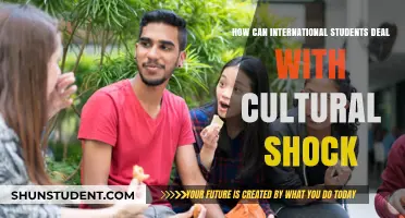 Navigating Cultural Shock: A Guide for International Students
