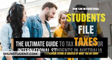 International Students: File Taxes with Ease