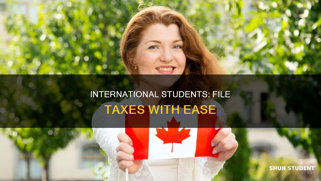 how can international students file taxes