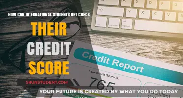 Understanding Credit Scores: A Guide for International Students