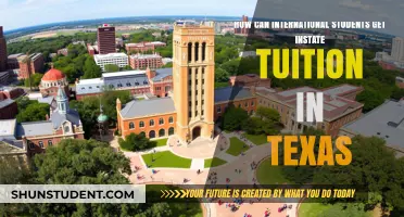 International Students: Getting In-State Tuition in Texas