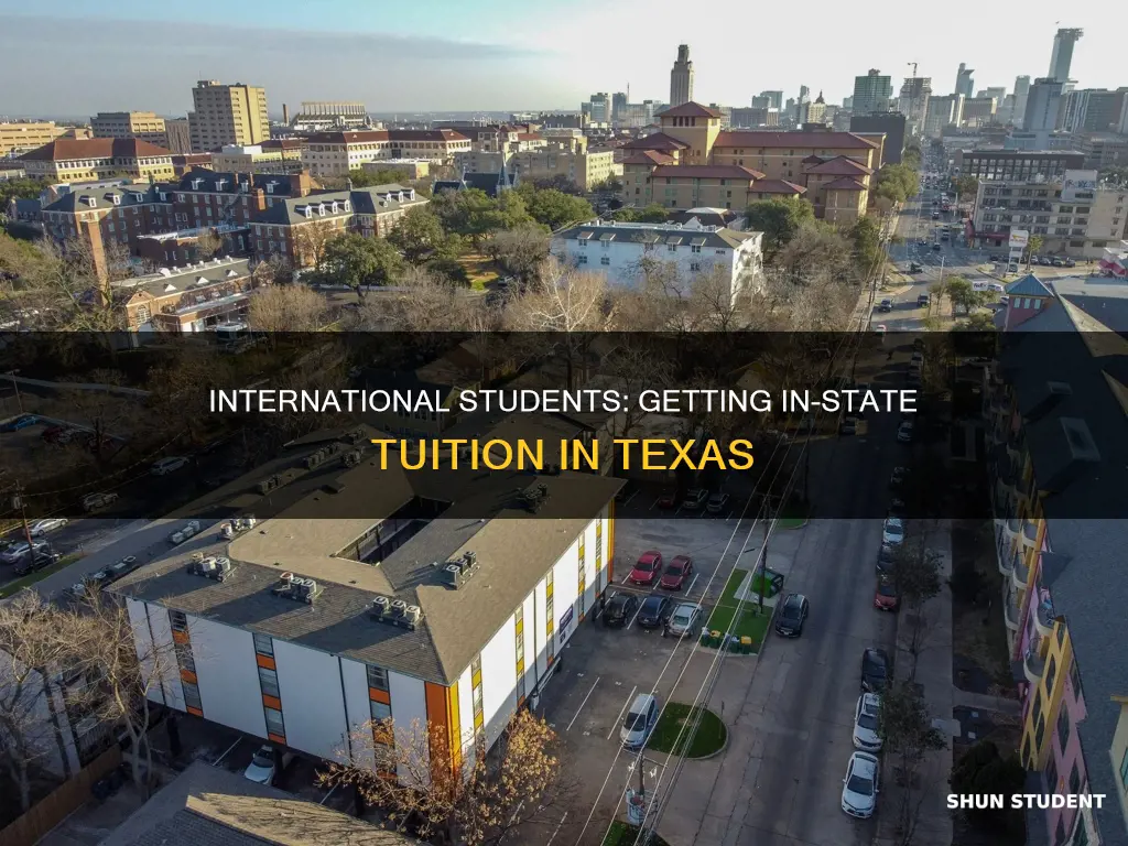 how can international students get instate tuition in texas