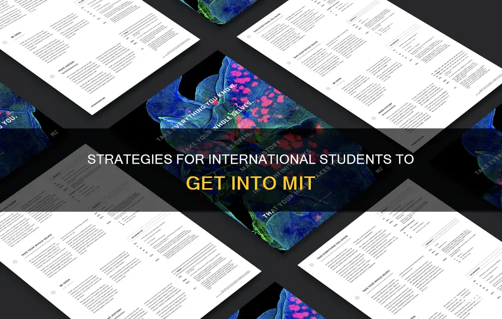 how can international students get into mit