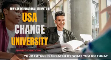 Switching Universities: A Guide for International Students in the USA