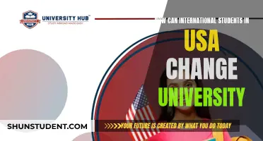 Switching Universities: A Guide for International Students
