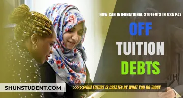 International Students: Repaying Tuition Fees in the USA