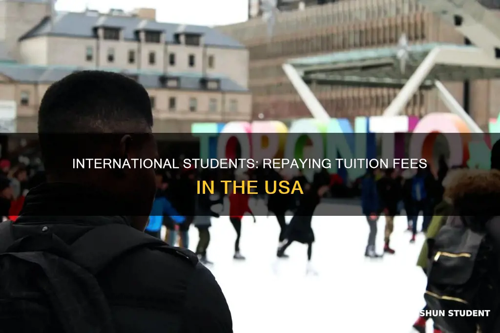 how can international students in usa pay off tuition debts
