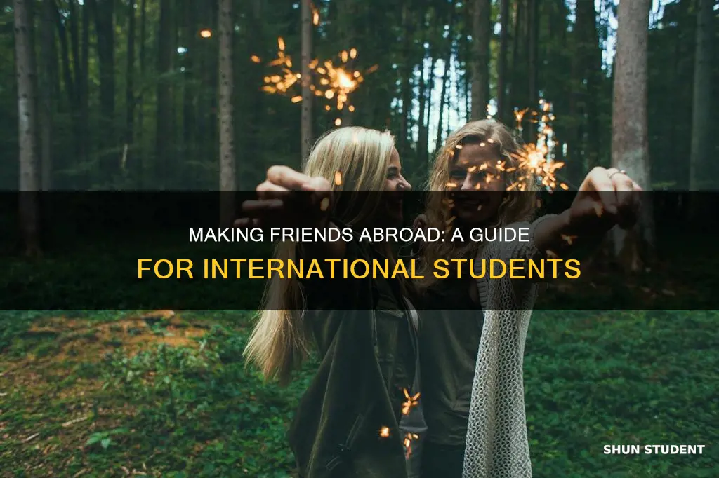 how can international students make friends