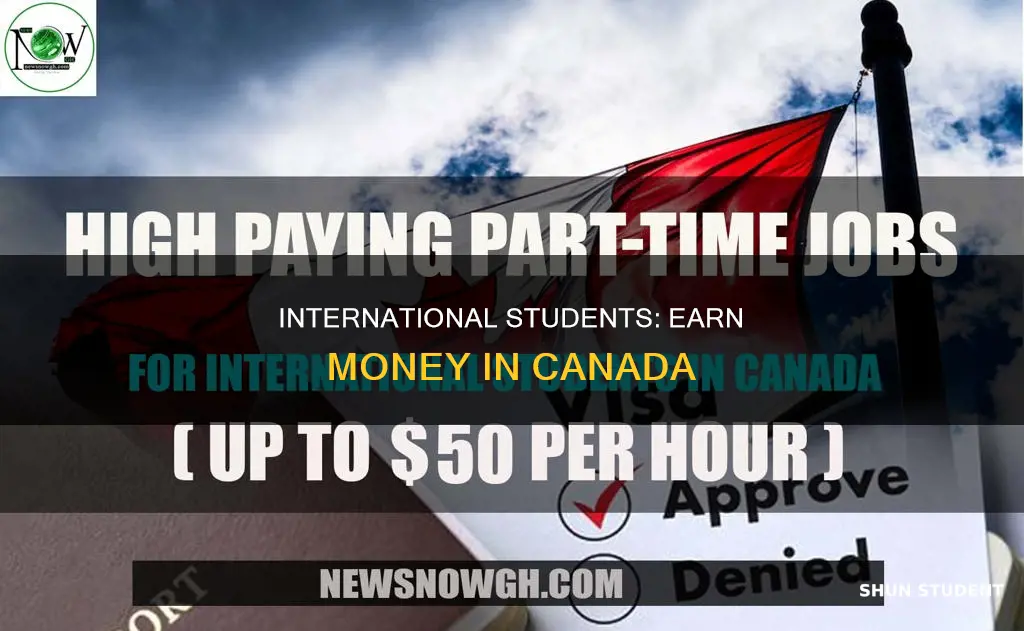 how can international students make money in canada