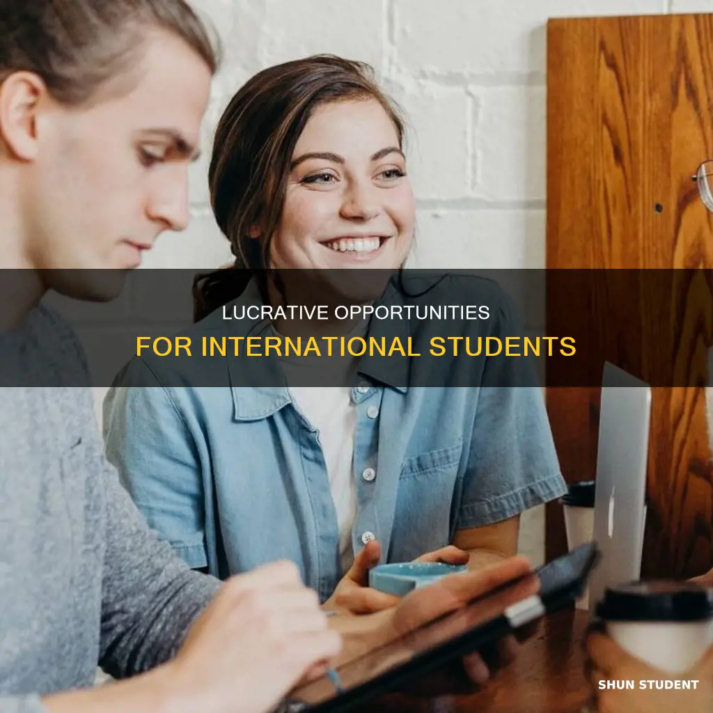 how can international students make money