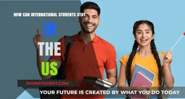 Staying in the US: Options for International Students