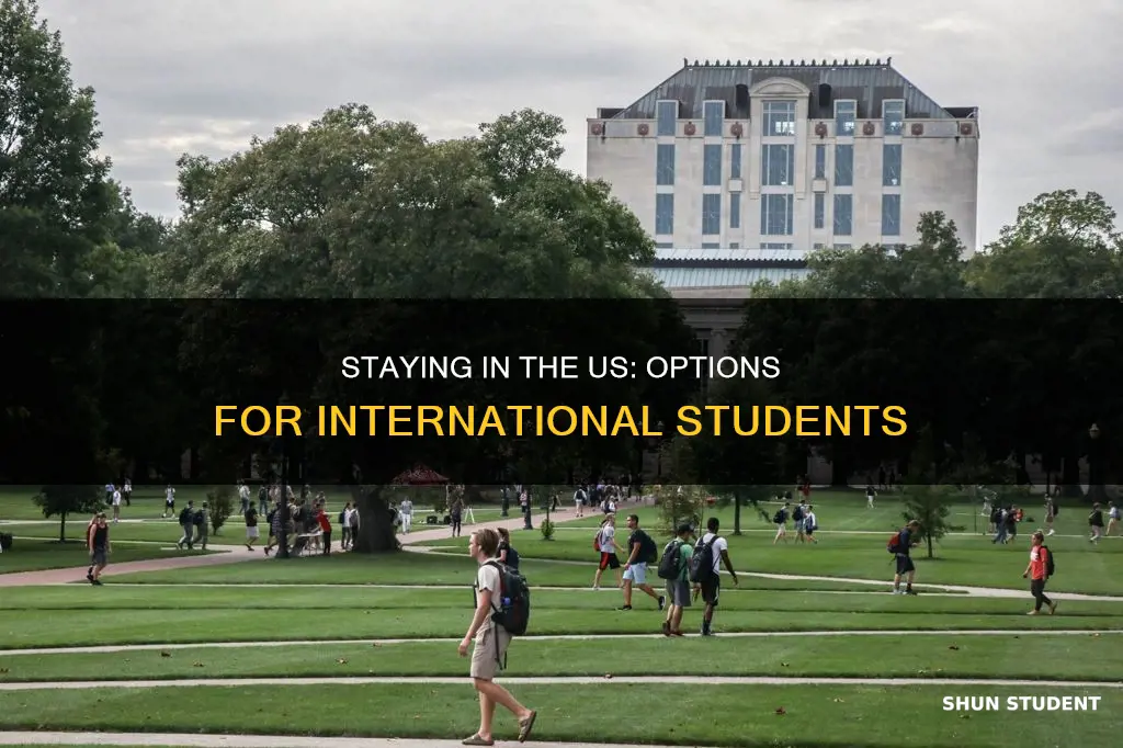 how can international students stay in the us