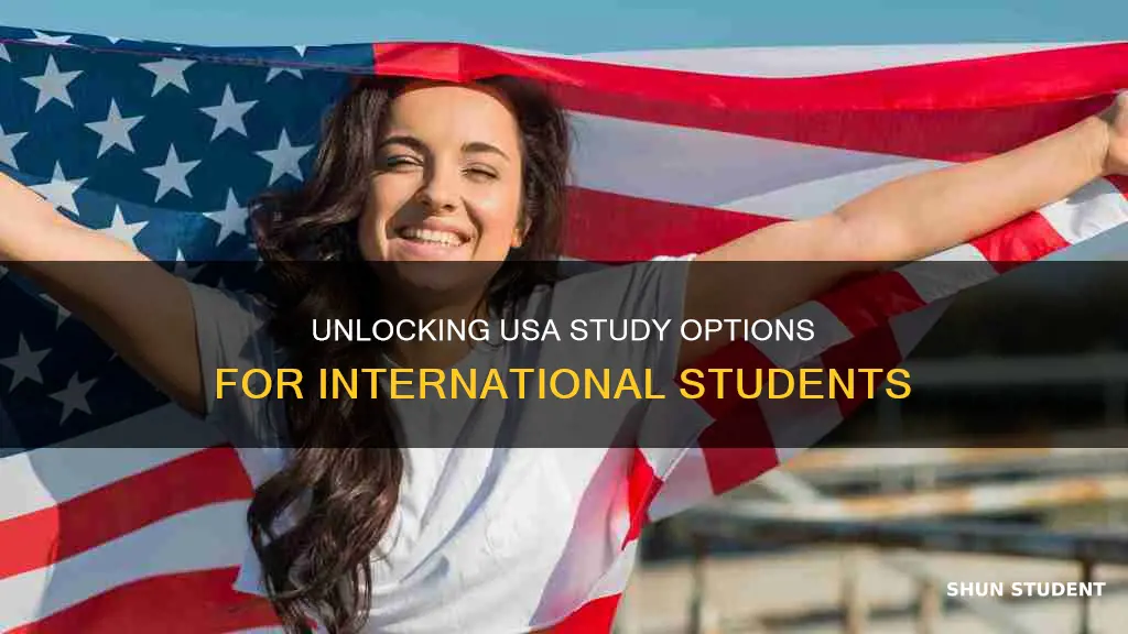 how can international students study in usa