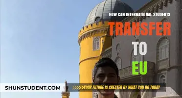 Transferring to the EU: A Guide for International Students