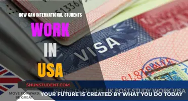 Working in the USA: A Guide for International Students