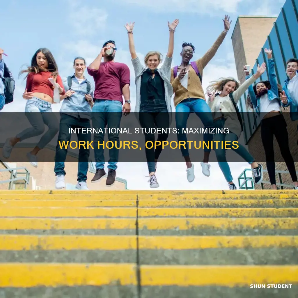 how can international students work more than 20 hours