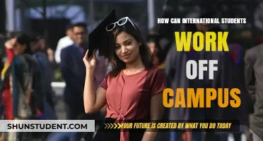 Working Off-Campus: A Guide for International Students
